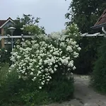 Holiday Home In Kamperland Near Lake