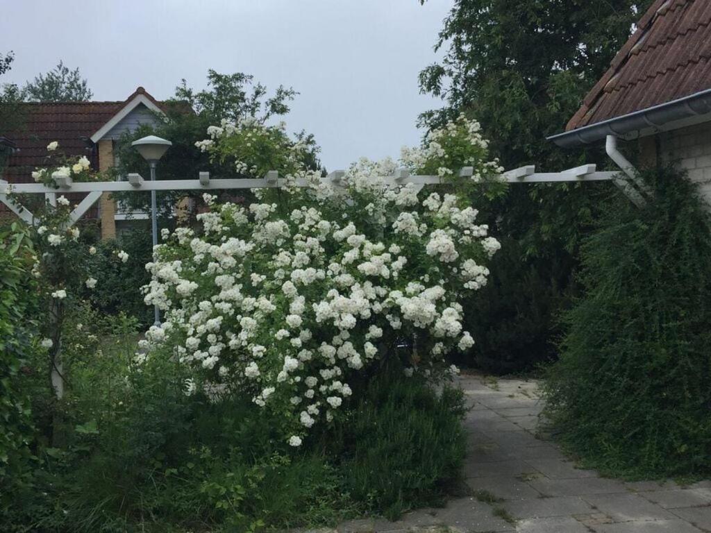 In Near Kamperland
