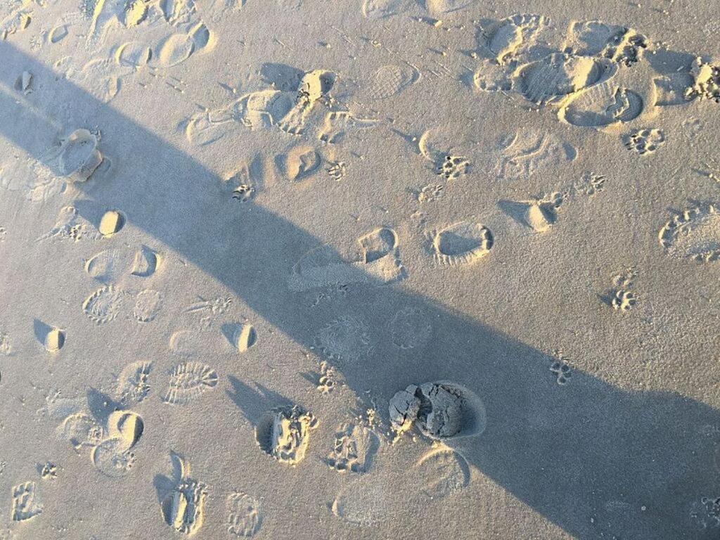 In Near